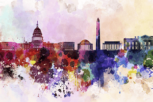 government image