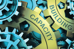 capacity building