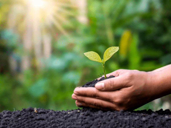 There Is Nothing “Non-Profit” About Nonprofit Organizations