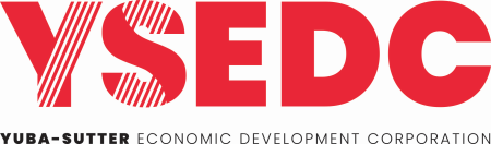YSEDC